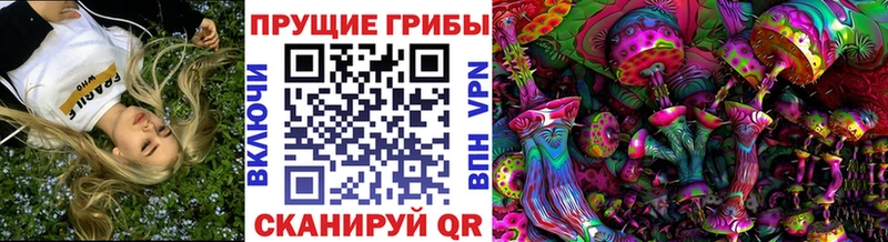 Купить где  Губкинский  Галлюциногенные грибы Magic Shrooms 